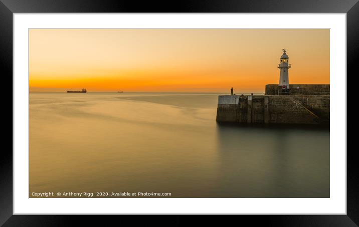 Mevagissey Lighthouse  Framed Mounted Print by Anthony Rigg