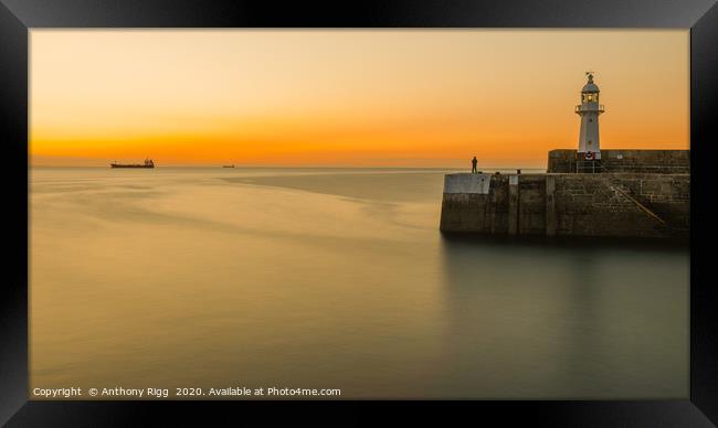Mevagissey Lighthouse  Framed Print by Anthony Rigg