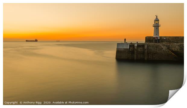 Mevagissey Lighthouse  Print by Anthony Rigg