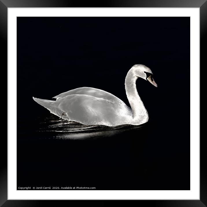 A swan at night on the lake Framed Mounted Print by Jordi Carrio