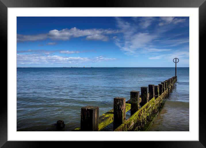 Serenity of the Sea Framed Mounted Print by Don Nealon