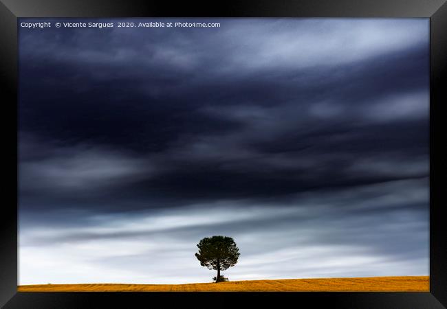The tree under the storm Framed Print by Vicente Sargues