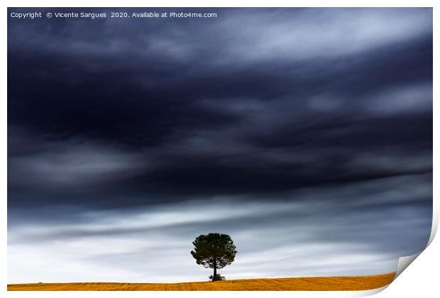 The tree under the storm Print by Vicente Sargues
