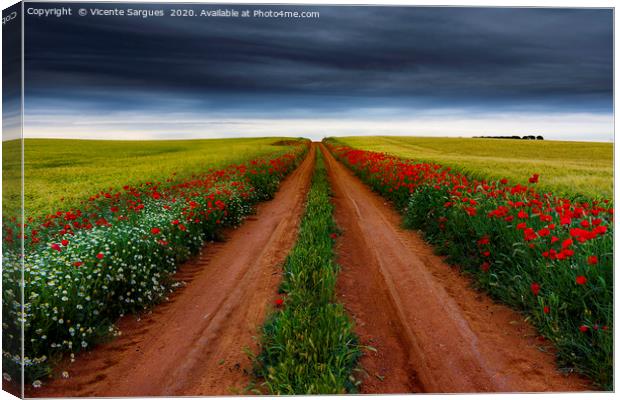 Path between flowers and fields Canvas Print by Vicente Sargues