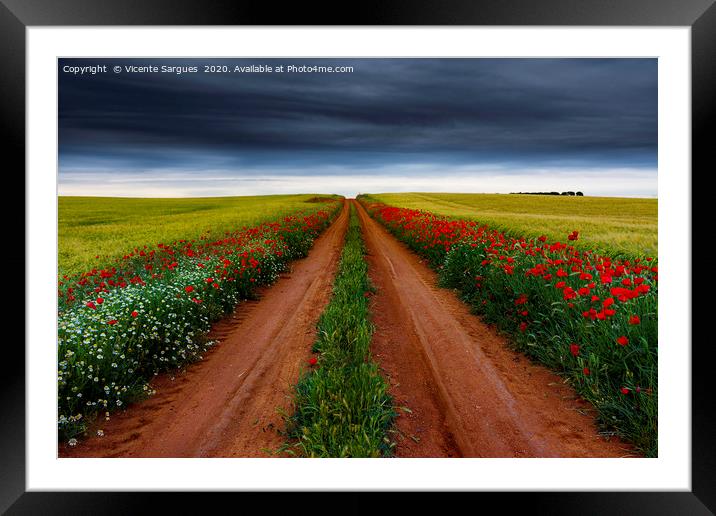 Path between flowers and fields Framed Mounted Print by Vicente Sargues