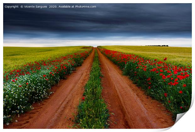 Path between flowers and fields Print by Vicente Sargues