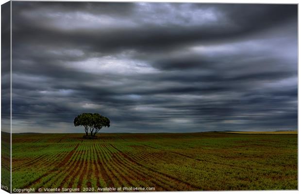 Field and storm Canvas Print by Vicente Sargues