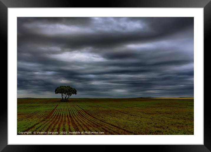 Field and storm Framed Mounted Print by Vicente Sargues