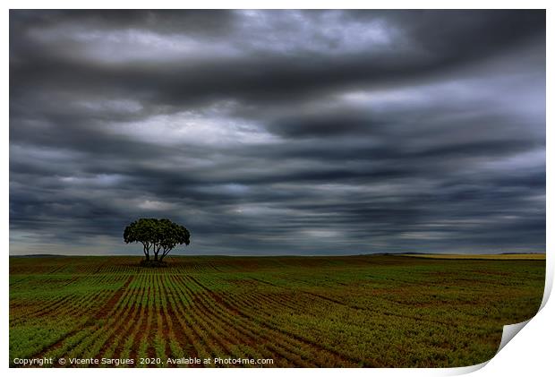 Field and storm Print by Vicente Sargues