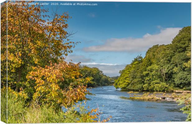 Early Autumn Hues at Wycliffe, Teesdale Canvas Print by Richard Laidler