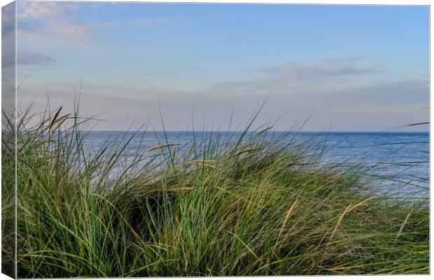 The Norfolk coast captured from the sand dunes Canvas Print by Chris Yaxley