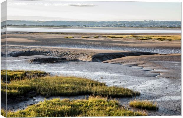 low tide on river Loughor Canvas Print by Kevin White