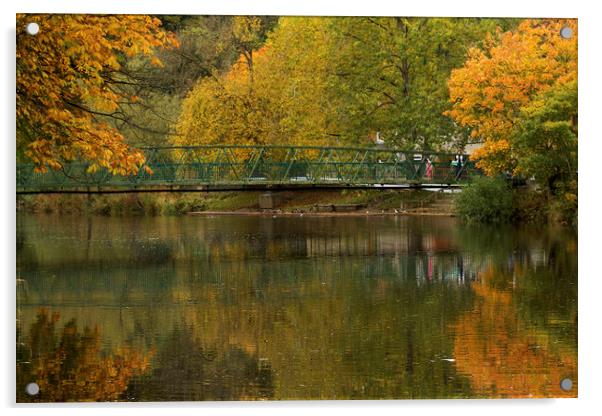 Morpeth River Wansbeck Northumberland Acrylic by David Thompson