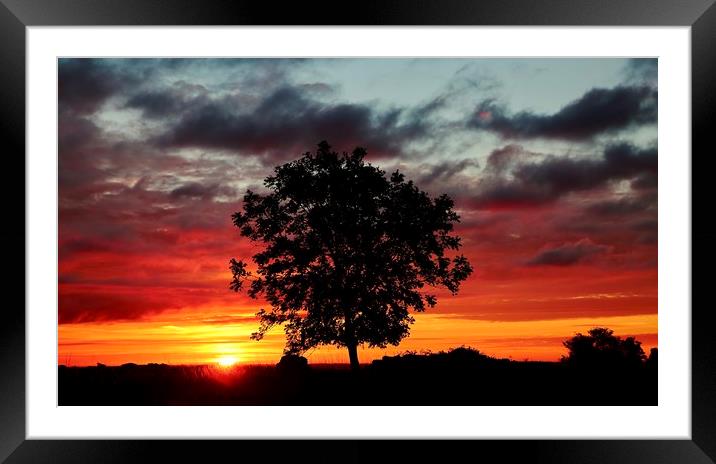   Cotswold Sunrise Framed Mounted Print by Simon Johnson