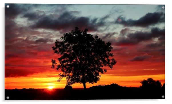   Cotswold Sunrise Acrylic by Simon Johnson