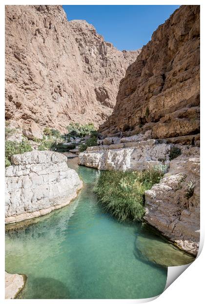 River of Wadi shab, Oman Print by David GABIS
