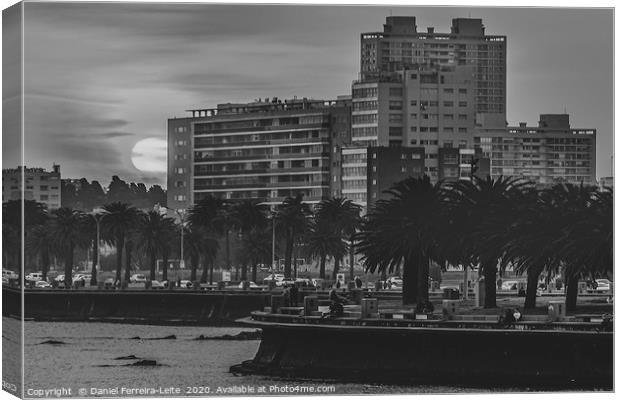 Sunset Coastal Urban Scene, Montevideo, Uruguay Canvas Print by Daniel Ferreira-Leite