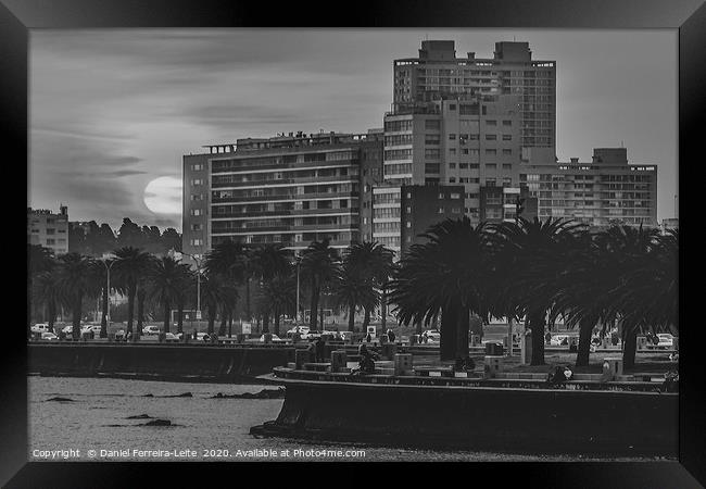 Sunset Coastal Urban Scene, Montevideo, Uruguay Framed Print by Daniel Ferreira-Leite