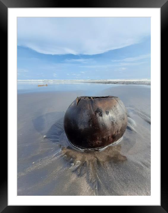 Coconut on sand beach Framed Mounted Print by Hanif Setiawan