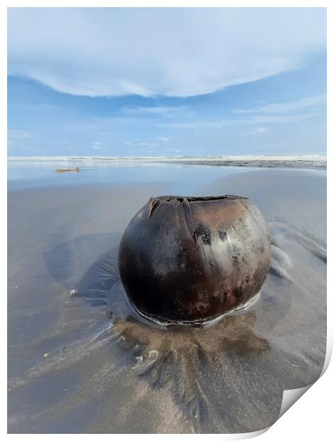 Coconut on sand beach Print by Hanif Setiawan