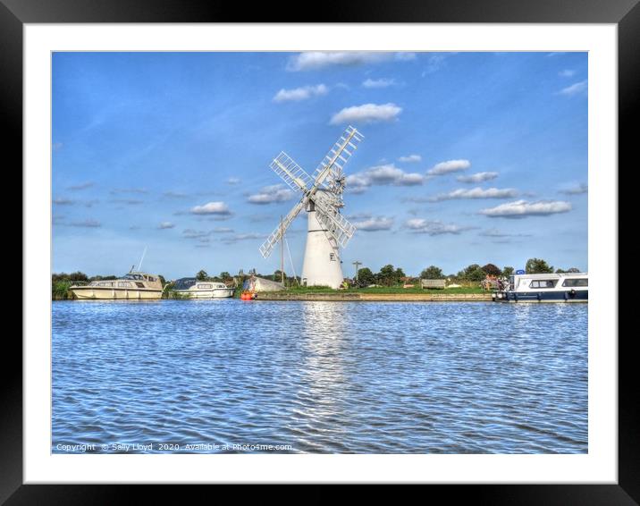 Thurne Mill, from the water Framed Mounted Print by Sally Lloyd