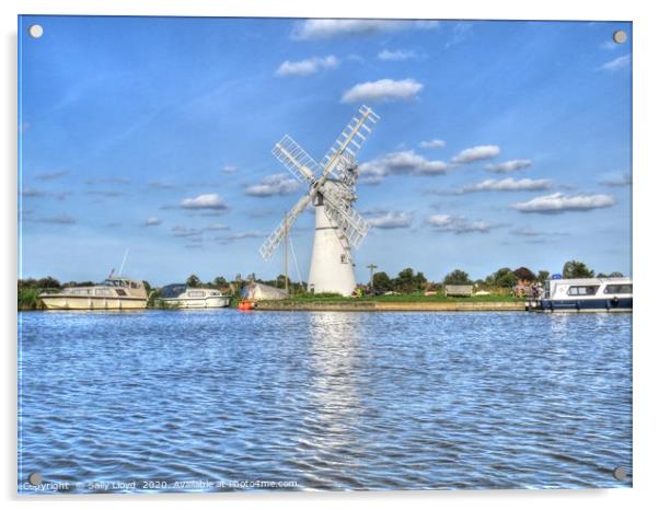 Thurne Mill, from the water Acrylic by Sally Lloyd