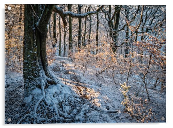 Frosty morning Acrylic by John Ealing
