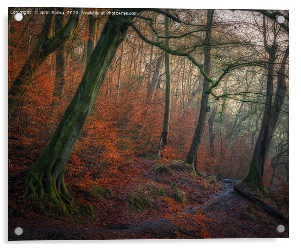 Autumn Path Acrylic by John Ealing