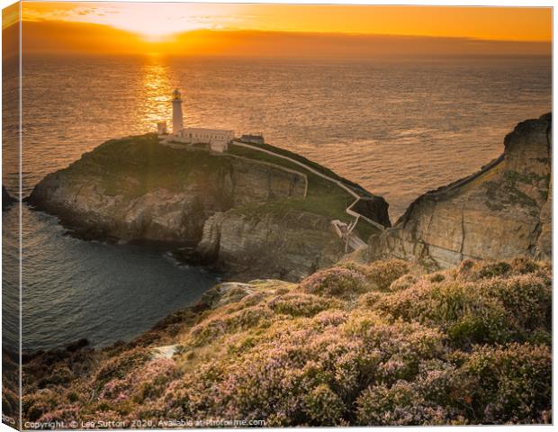 Southstack Lighthouse Sunset Canvas Print by Lee Sutton