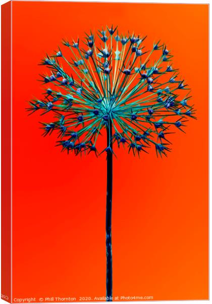 Abstract Allium No.5 Canvas Print by Phill Thornton