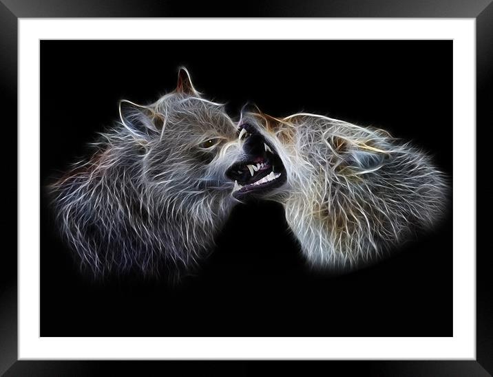 Submission Framed Mounted Print by Julie Hoddinott