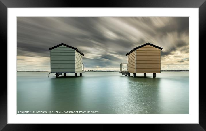 Osea Beach Huts Framed Mounted Print by Anthony Rigg