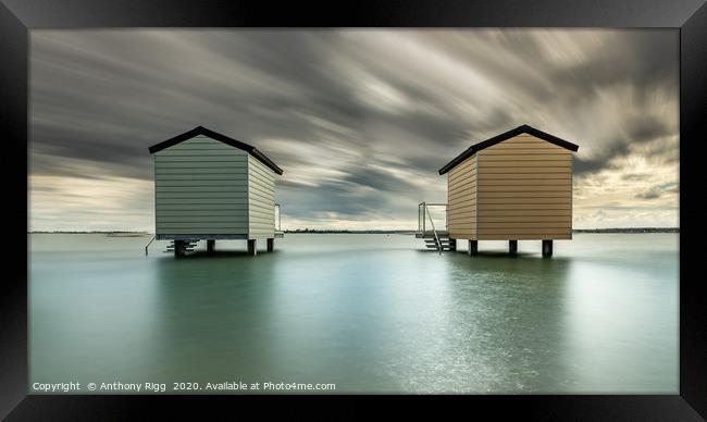 Osea Beach Huts Framed Print by Anthony Rigg