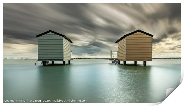 Osea Beach Huts Print by Anthony Rigg