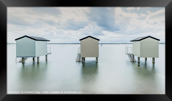 Beach Huts Framed Print by Anthony Rigg