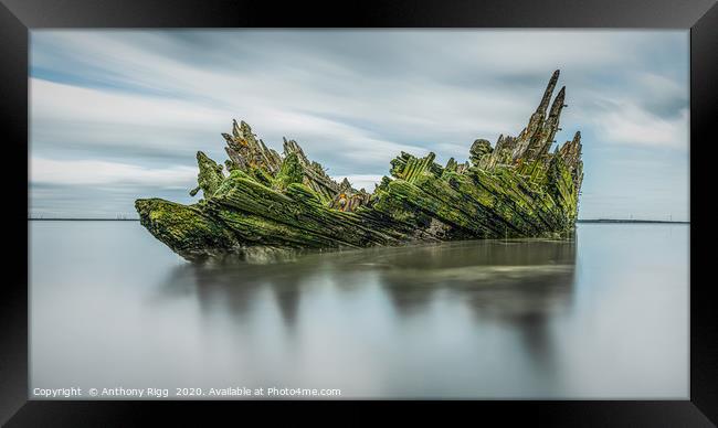 Ship Wreck on the Swale. Framed Print by Anthony Rigg