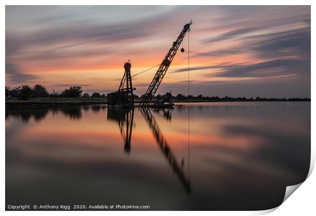Abandoned Crane Print by Anthony Rigg