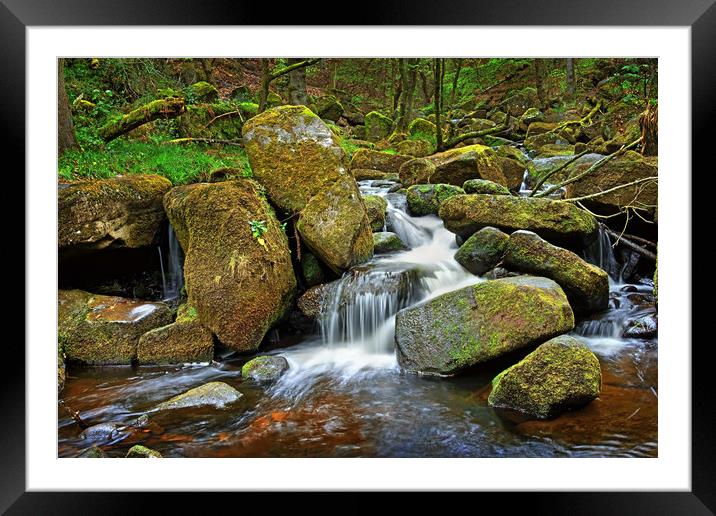 Padley Gorge                                Framed Mounted Print by Darren Galpin