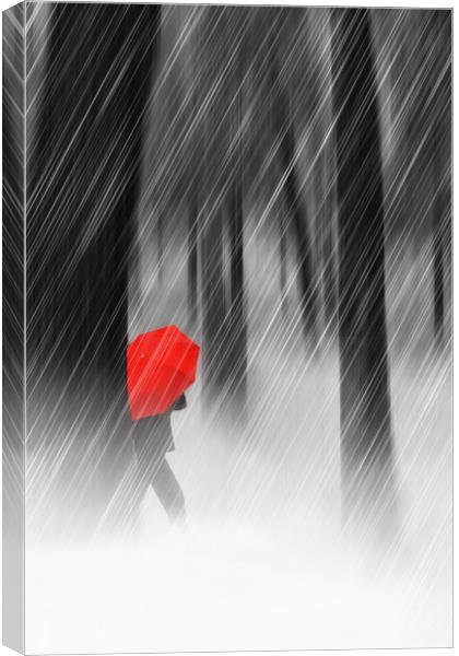 Just Walking In The Rain Canvas Print by Tom York