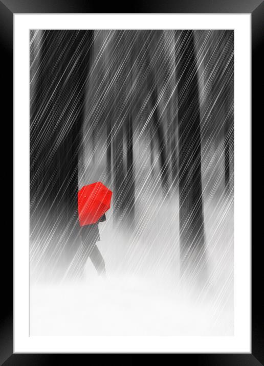 Just Walking In The Rain Framed Mounted Print by Tom York