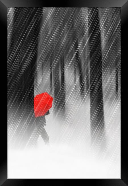 Just Walking In The Rain Framed Print by Tom York