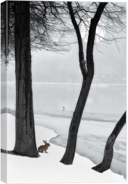 Frozen Lake Canvas Print by Tom York