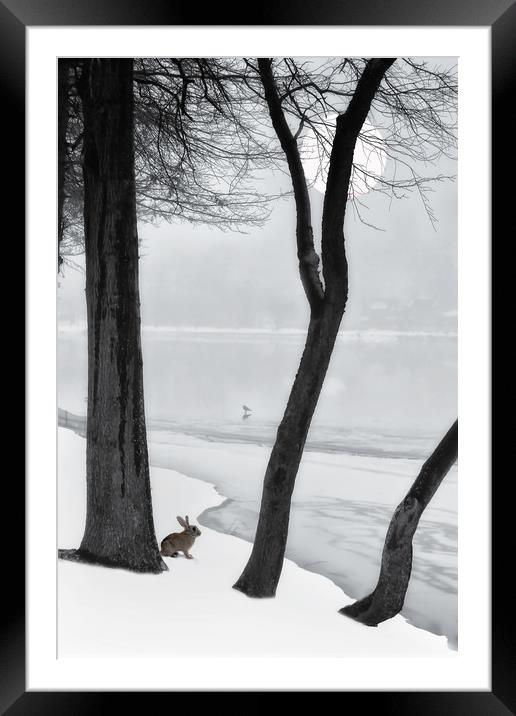 Frozen Lake Framed Mounted Print by Tom York