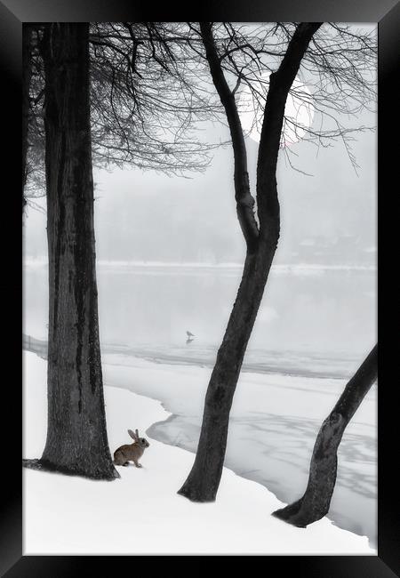 Frozen Lake Framed Print by Tom York