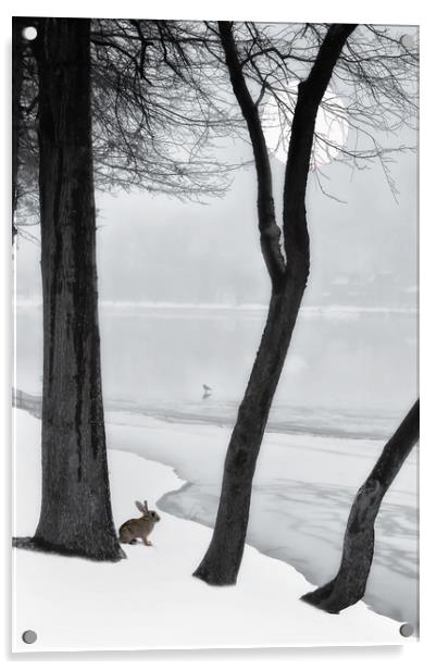 Frozen Lake Acrylic by Tom York