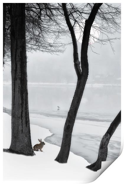Frozen Lake Print by Tom York