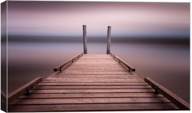 The jetty on Comox Lake Canvas Print by Leighton Collins