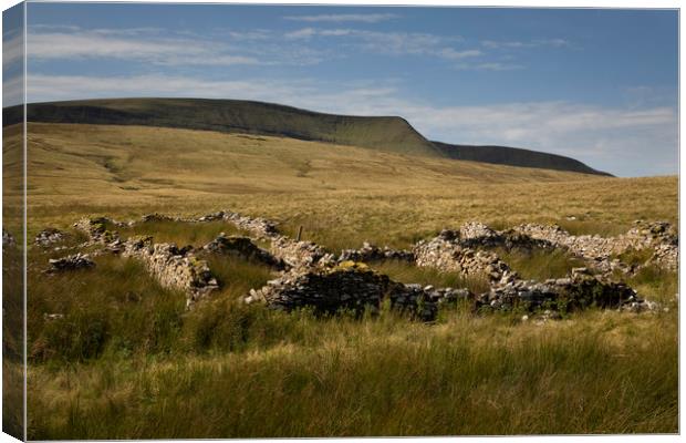 Farmhouse ruins and Moel Feity Canvas Print by Leighton Collins