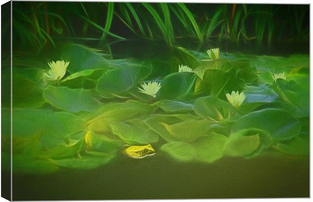 Among The Water Lilies Canvas Print by Tom York