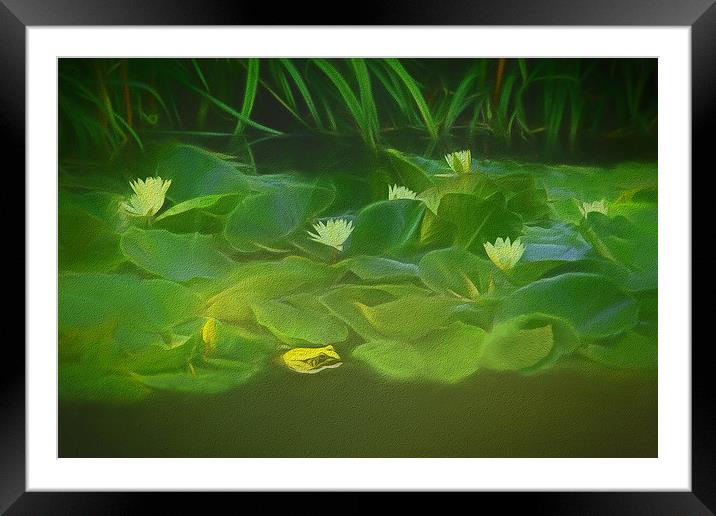 Among The Water Lilies Framed Mounted Print by Tom York